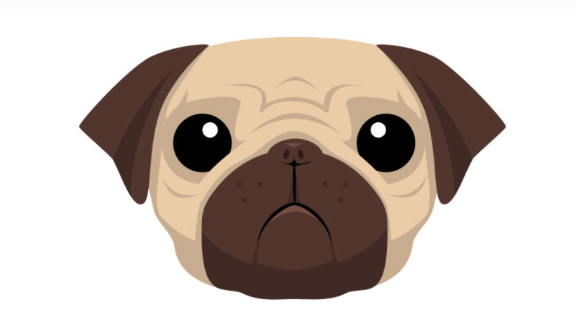 Pug